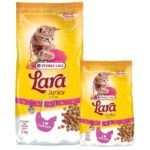 Lara Junior