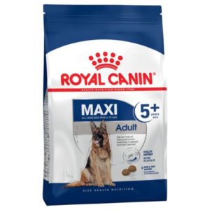 Royal Canin MAXI ADULT 5+ Pour chien de plus de 5ans