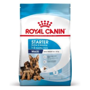 Royal Canin MAXI STARTER Mother & Baby Dog