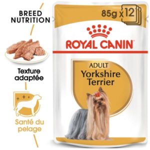 Royal Canin YORKSHIRE TERRIER MOUSSE 12x85G