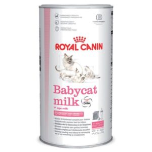 Royal Canin BABY CAT MILK lait pour chaton 300G