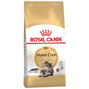 Royal Canin MAINE COON chat adulte