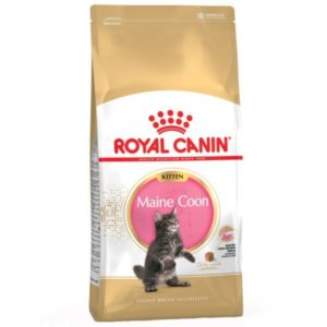 Royal Canin MAINE COON KITTEN chaton 2KG