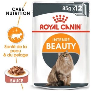 Royal Canin INTENSE BEAUTY en sauce pour chat 12x85G