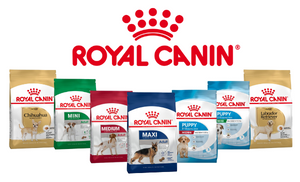 Ban Royal Canin (300 × 182 px)